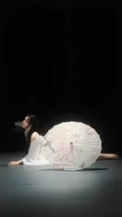 男上女下动态视频