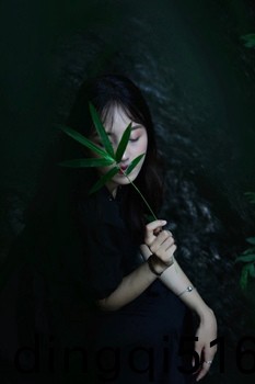 三国志12如何研究技法