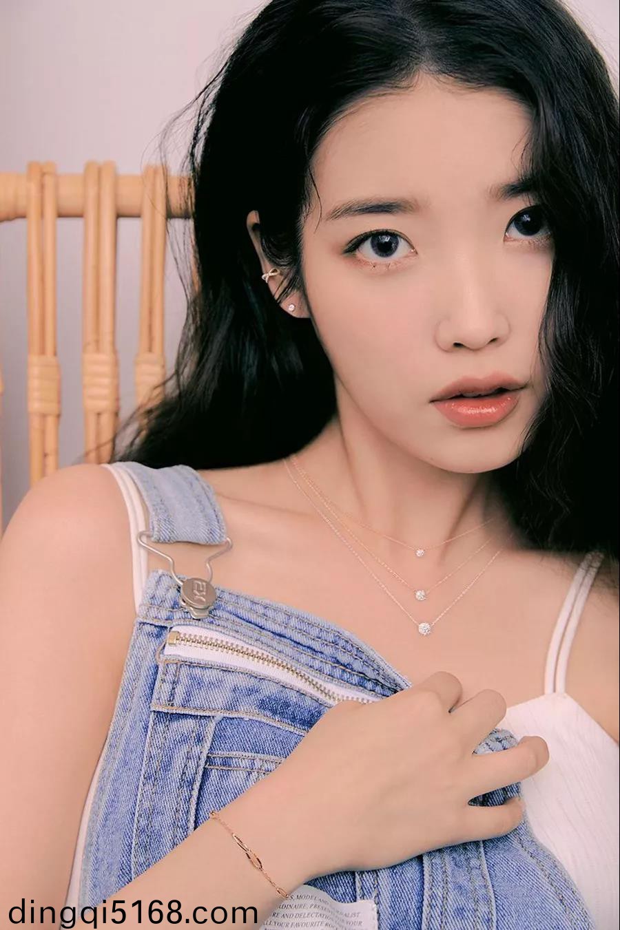 职业鉴黄师